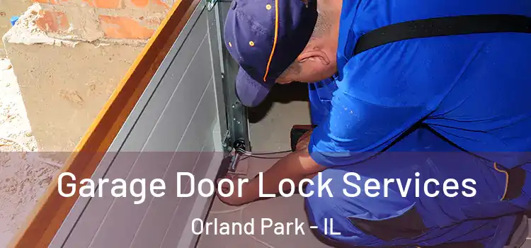 Garage Door Lock Services Orland Park - IL
