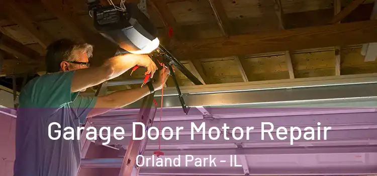  Garage Door Motor Repair Orland Park - IL