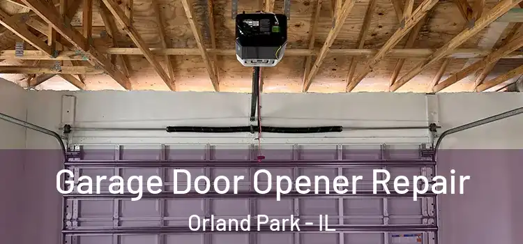  Garage Door Opener Repair Orland Park - IL