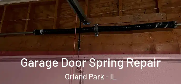  Garage Door Spring Repair Orland Park - IL