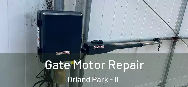 Gate Motor Repair Orland Park - IL