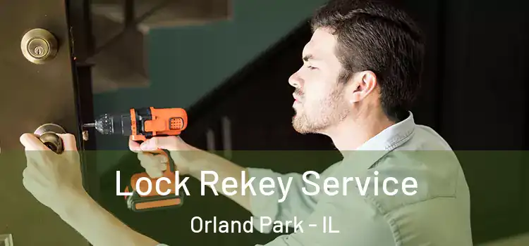 Lock Rekey Service Orland Park - IL