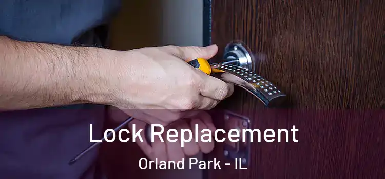 Lock Replacement Orland Park - IL