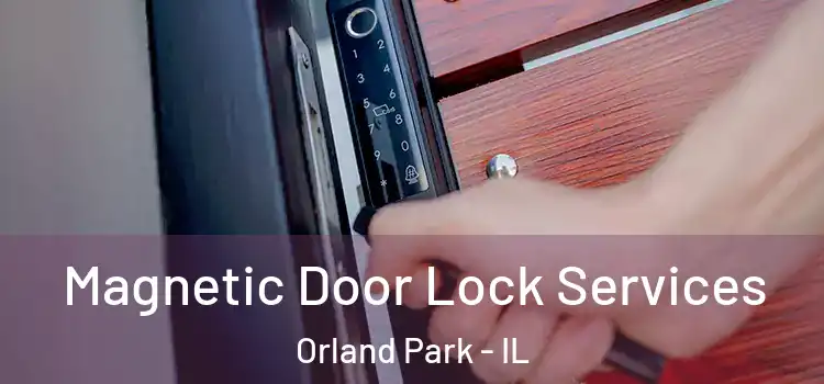 Magnetic Door Lock Services Orland Park - IL