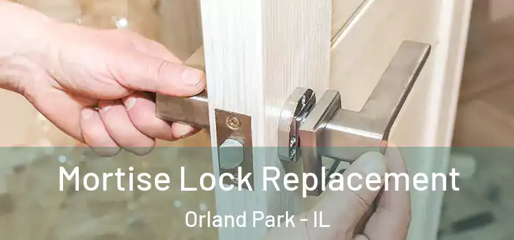 Mortise Lock Replacement Orland Park - IL